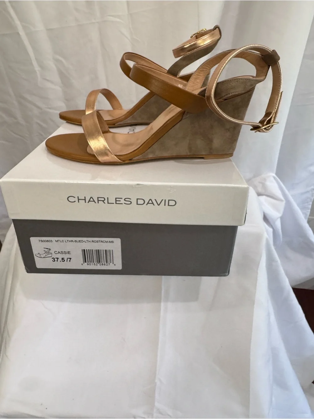 Charles David day open gold